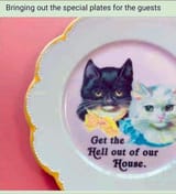 Special plates