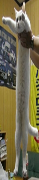 long
