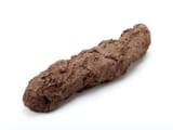 shit-4-diagonal-1-800x600