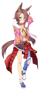 Narita_Taishin_(Race)