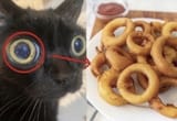 Onion