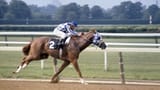 this-day-in-history-06-9-1973-secretariat-wins-triple-crown[1]