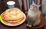 kotblini