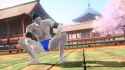 vf5fs custom_thumb.jpg