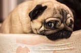 istock-481566320