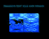 nvr4get