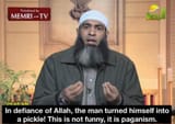 memri pickle