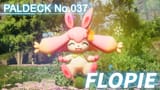 flopi