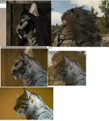 cat head shapes