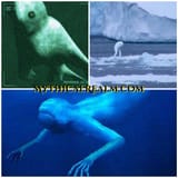 ningen-600x600