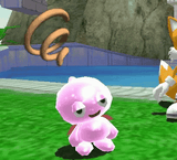 drunk chao