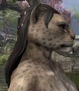 Khajiiti 