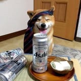 BEER BEER BEER