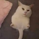 1752884874415