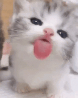 me