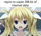 waste 388 kb
