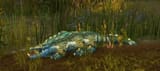 53513-giant-wetlands-crocolisk