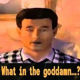 WhatInTheGoddamn
