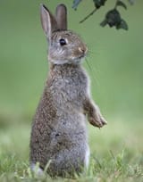 standing