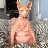 85756766