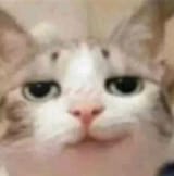 1646250354019