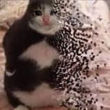 1721146305621983