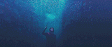 harrypotter