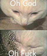 1528412687923