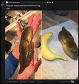 1732863791815143