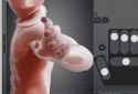 designdoll02_thumb.jpg