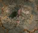 Bearroll_thumb.jpg