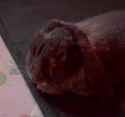 1704562245003624_thumb.jpg
