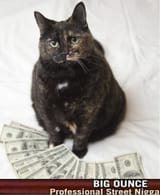 1730478181600308