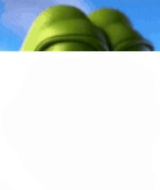 1739125417002t