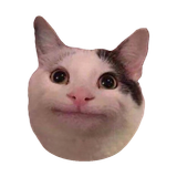 [CITYPNG.COM]Funny Beluga Meme Cat HD Transparent Background - 800x800