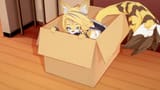 country_kitties_know_the_best_hiding_spots