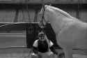 Mister Ed_thumb.jpg