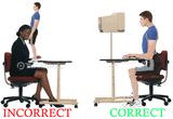 LUMBAR LORDOSIS VICTORY