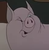 squeeler