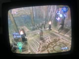 forest temple