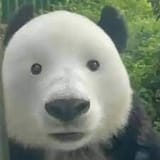 1745068836352482