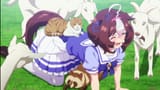 animal_abuse