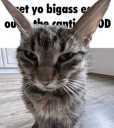 1741042073130629