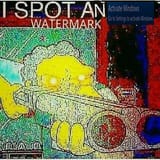 watermark