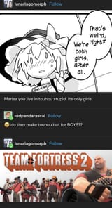 touhoufortress