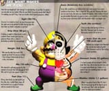 Wario&#039;s anatomy