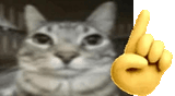 1730185582838563