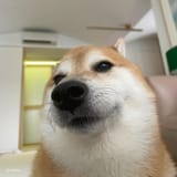 1733068054976143