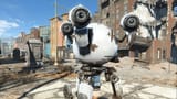 curie companion