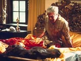 horse-head-godfather